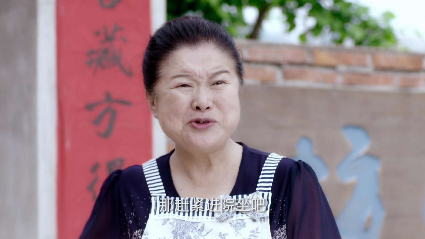 刘家媳妇豆瓣刘家媳妇