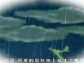 森林好伙伴之快乐生活 52集