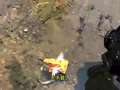 野王大坤户外之草地寻宝乐 11集