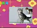 水木动画学堂 405集