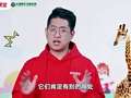 探秘动物王国 4集