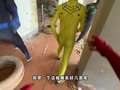 阳光音符派对真人秀 5集