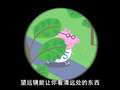 小猪佩奇第3季 8集