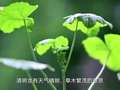 趣味中国地理52讲 44集