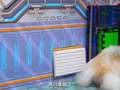 仓鼠星光挑战赛 2集