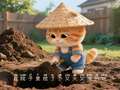 小雨儿绘本 15集