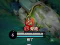 殿主（小仙姑） 171集