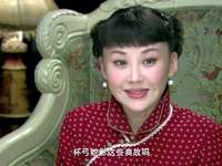 皇粮胡同十九号 9集