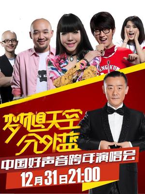 浙江卫视2013梦想天空分外蓝中国好声音跨年演唱会