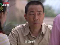 杨光的爱情故事 23集