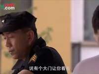 杨光的爱情故事 8集