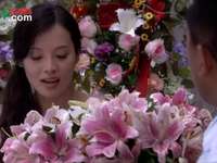杨光的爱情故事 26集